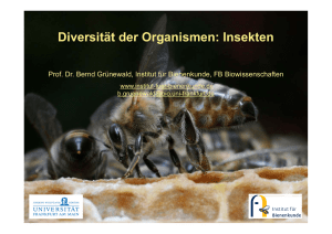 Diversität der Organismen: Insekten