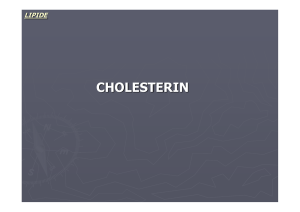cholesterin - Biochemie Trainingscamp