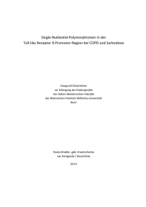 Single-Nukleotid-Polymorphismen in der Toll