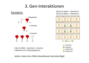 3-Gen-Interaktionen_WS10_11 1