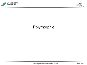 Polymorphie