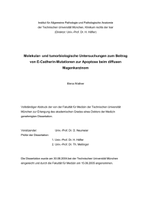 Molekular- und tumorbiologische Untersuchungen zum