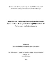 Finale Dissertation Frank Druckversion 17.08.2013