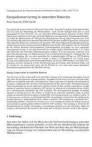 Energiekonservierung in anaeroben Bakterien