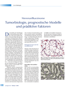 Tumorbiologie, prognostische Modelle und prädiktive Faktoren