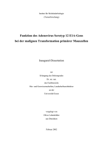 Funktion des Adenovirus Serotyp 12 E1A-Gens bei