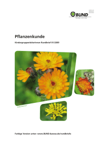 Pflanzenkunde - BUND Baden