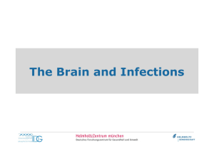 The brain and infections
