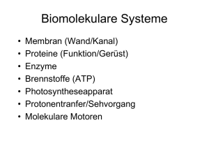 Biomolekulare Systeme