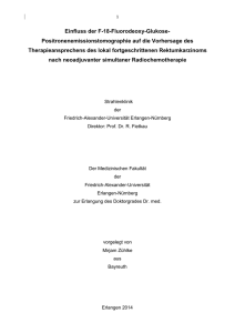 Dissertation M. Zühlke