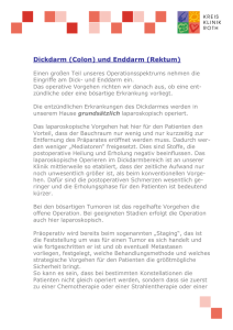 Dickdarm _Colon_ und Enddarm _Rektum_ _korr_