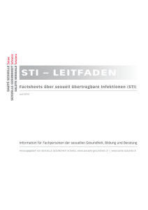 STI – LeITfaden