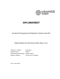 diplomarbeit - E