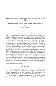 Monographische Studien über Adoxa Moschatellina L.