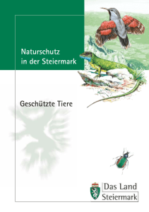 Geschützte Tiere - Land Steiermark