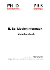 Modulhandbuch BMI 2010