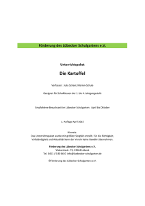 Die Kartoffel - Der Lübecker Schulgarten