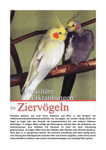 Parasitäre Erkrankungen bei Ziervögeln