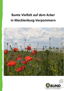 Bunte Vielfalt auf dem Acker in Mecklenburg - BUND M-V