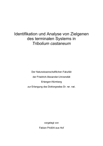 DissertationFabianPridoehl 2016 (002)