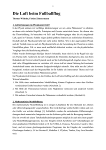 Die Luft beim Fußballflug - Prof. Dr. Thomas Wilhelm