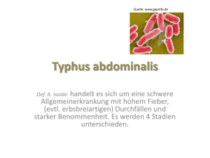 Typhus abdominalis
