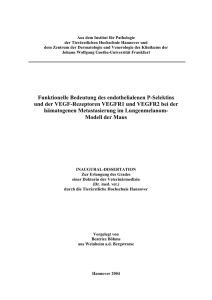 Funktionelle Bedeutung des endothelialenen P