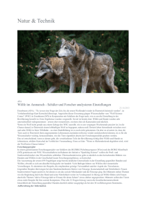 Wölfe im Anmarsch - Schüler und Forscher
