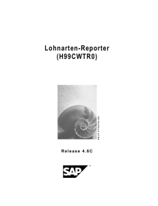 Lohnarten-Reporter (H99CWTR0)