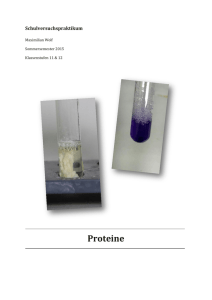 Proteine - Unterrichtsmaterialien Chemie