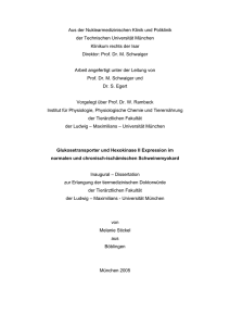 Glukosetransporter und Hexokinase II Expression im normalen und