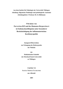 Pr&auml;valenz von Parvovirus B19 und des Humanen Herpesvirus 6 in