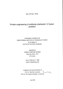 Protein engineeringof antibody-interleukin 12 - ETH E