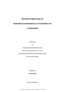 Metabolic Engineering von Clostridium acetobutylicum zur