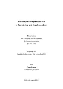 Dissertation_Reimer, Anna - Publications at Bielefeld University