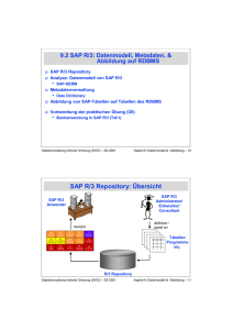SAP R/3 Repository: Übersicht