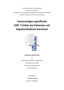 Tumorantigen-spezifische CD8 T-Zellen bei Patienten mit