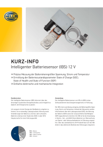 Intelligenter Batteriesensor (IBS) 12 V, von HELLA