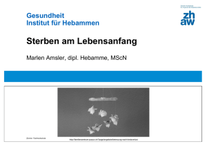 Gesundheit Institut für Hebammen