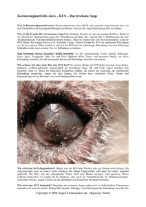 Keratoconjunctivitis sicca – KCS – Das trockene Auge
