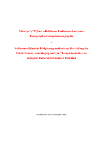 2-Deoxy-2-[18F]fluoro-D-Glucose Positronen