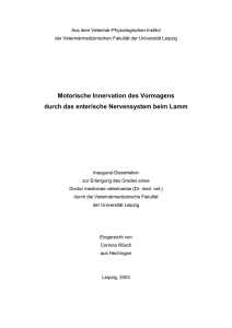 Motorische Innervation des Vormagens durch das enterische