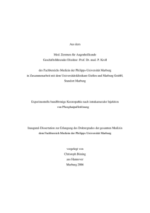 Experimentelle bandförmige Keratopathie nach intrakameraler