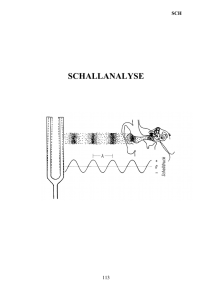 SCHALLANALYSE