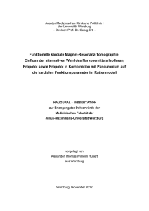 Dissertation_Hubert - OPUS Würzburg