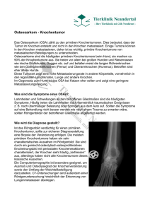 Osteosarkom - Knochentumor