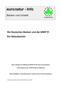 Info 39 Banken und Umwelt - UNEP FI 2004