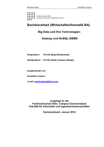 Bachelorarbeit (Wirtschaftsinformatik BA)