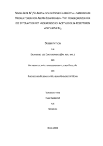 pdf-Dokument - Universität Bonn