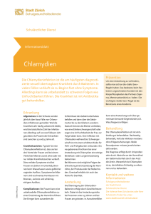 Informationsblatt Chlamydien